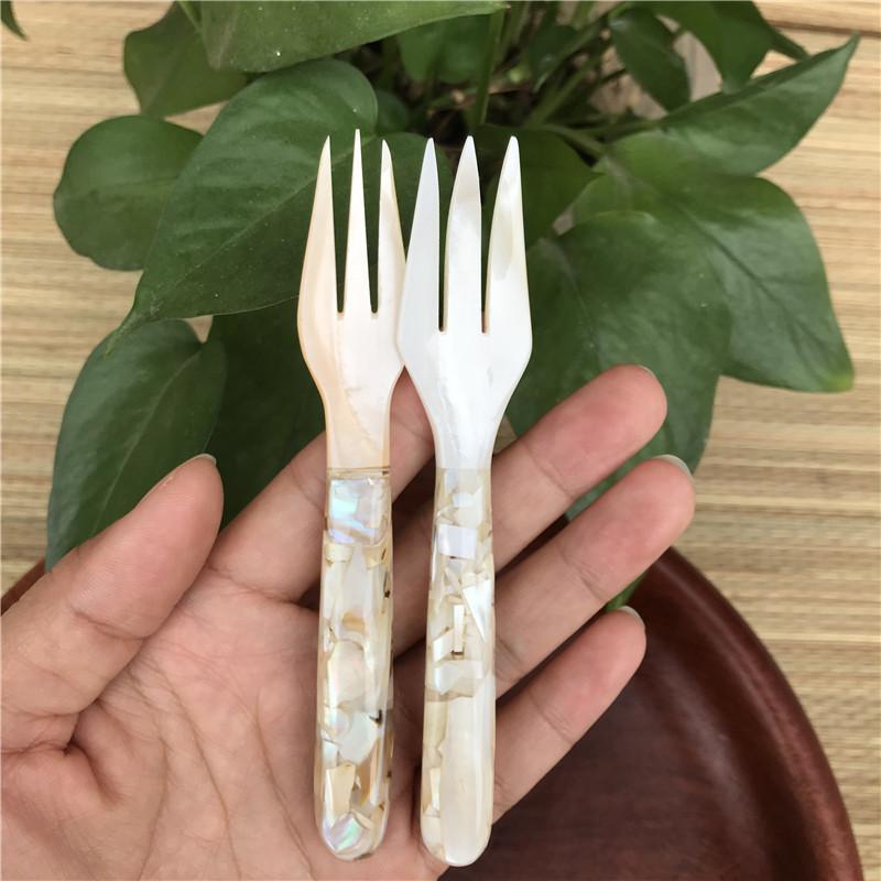 Natural Shell Spoon Mother of Pearl Fork Ice Cream Dessert Caviar Seasoning Condiment Stirring Spoons Teaspoon Kitchen Tools4