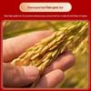 Jingxiawang Classic Soft Rice