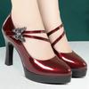 6.5cm 8.5cm Elegantes Zapatos de Plataforma con Pedrería de Mariposa Mary Janes Bajos 2025 Tacones Altos de Bloque Zapatos de Salón Oficina Modelo Vestido Mamá