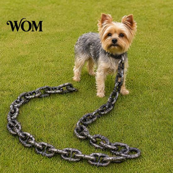 Pomeranian Leash Giant Chain Dog Leash, Lightweight Plastic Pet Looks Like Comfortable Iron Chain, Stylish Big for Small Dogs Photo Props Heavy-duty