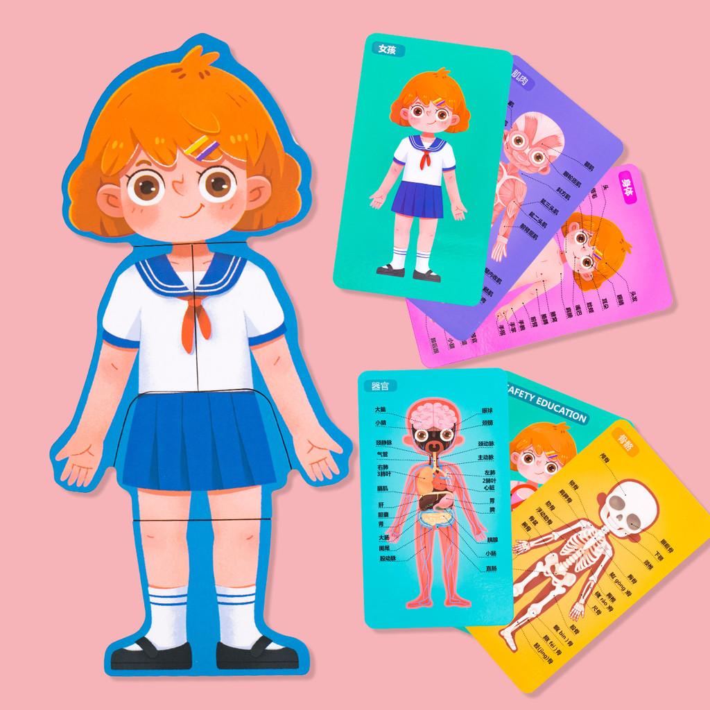 Wooden Body Structure Puzzle For Kids Educational Learning Toy For Boys And Girls