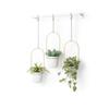 Umbra Hanging Set of W13 X X Cm Planter, White/Brass, 3, Triflora, 21011748524, D1.1 1.5