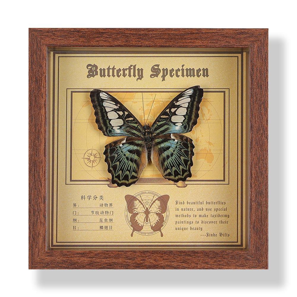 Real butterfly specimen photo frame, decorative painting, 3D ornament, handmade DIY, birthday gift, insect specimen