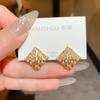 Korean wind broken diamond texture stud earrings women's round gold design earrings niche high-end versatile eye-catching earrings