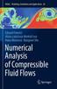 Kniha Numerical Analysis of Compressible Fluid Flows : 20