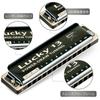 East Top Harmonica Blues Harmonica 13 Hole A Key Jazz Professional Adults Children Study Practice Brass Cover Canvas Case Lucky13 (PowerDraw-A)