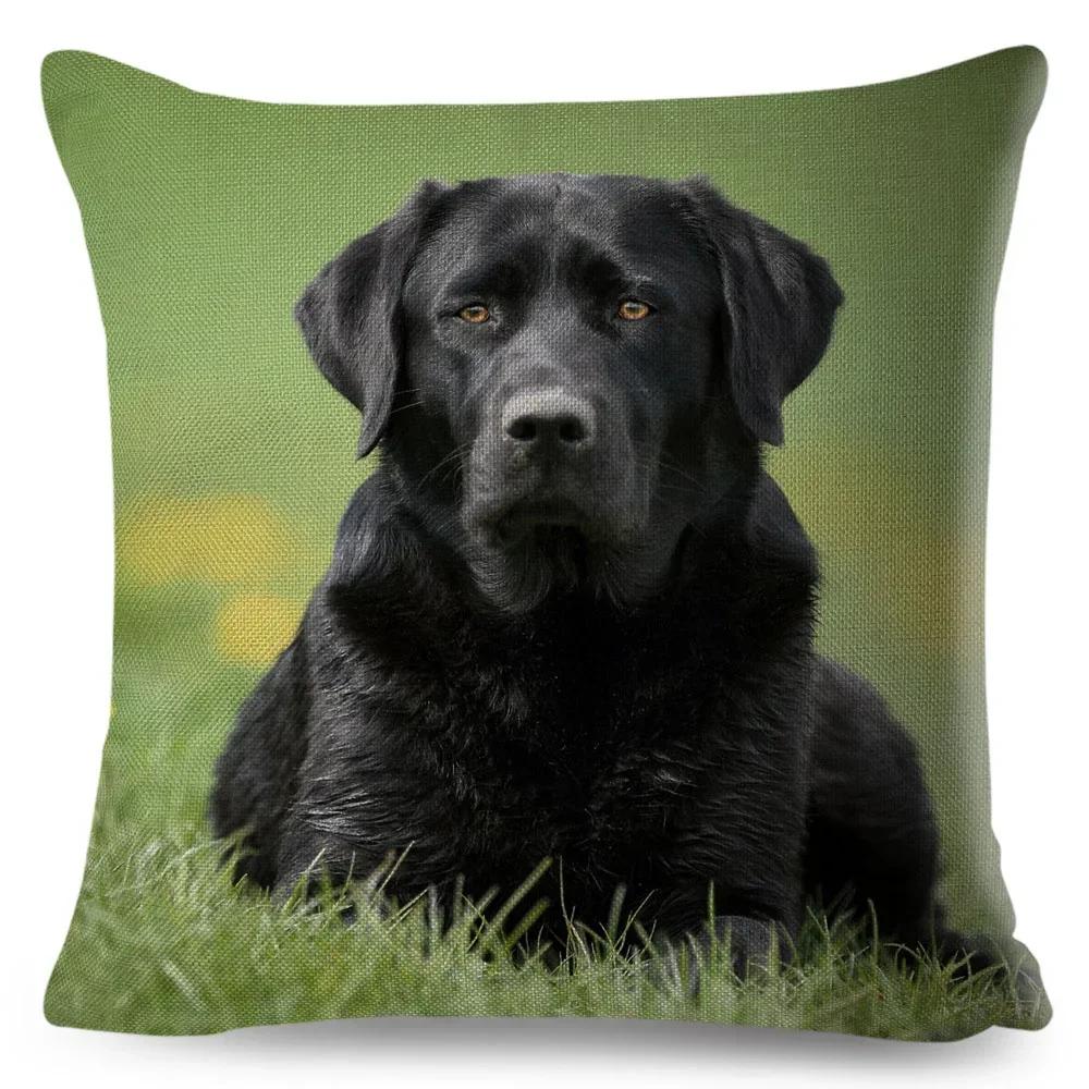 Cute Black Labrador Dog Double-Sided Printed Pillow Cover Short Plush Suitable Living Rooms Bedrooms Sofas Throw Cushion Cover