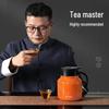 Temake Smart Temperature Display Insulated Tea Pot
