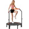 Mini Trampoline, with an Adjustable Height Handle, LCD Monitor, Steel, Black + Red, Diameter 102 X 99 - 123 Cm