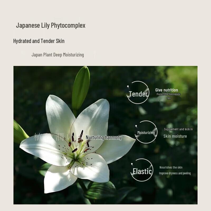 ASAKA Plant Amino Acid Hair & Body Travel Set