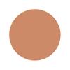DASHU Mens Multi Cover Stick Foundation 12g