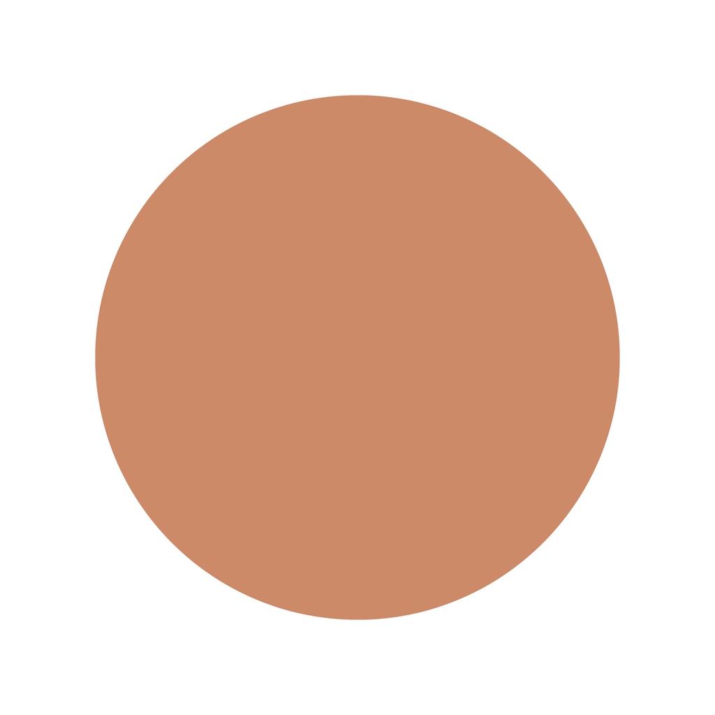 DASHU Mens Multi Cover Stick Foundation 12g