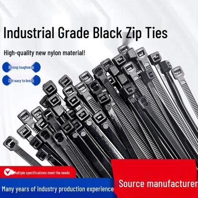 Black Nylon Cable Ties
