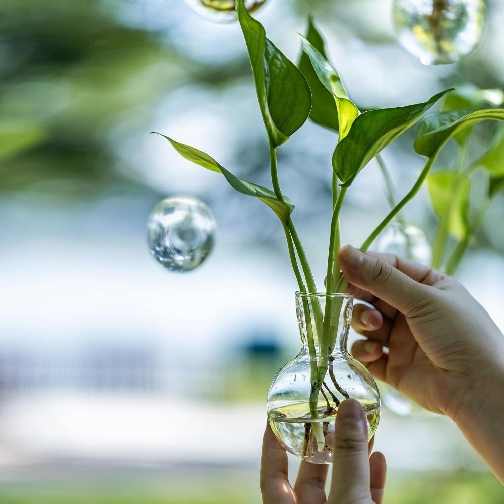 4pcs/set Self-Watering Plant Hydroponic Vase Transparent Hanging Fish Tank  Living Room