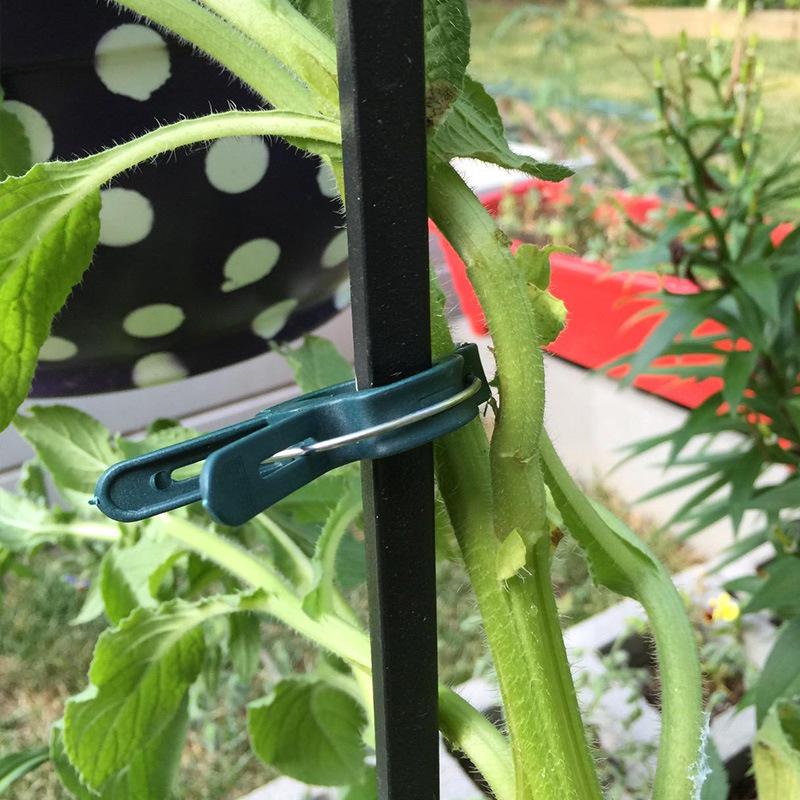 20 Horticulture Seedling Grafting and Pruning Clips for Flowers and Grasses [Various Sizes Available]