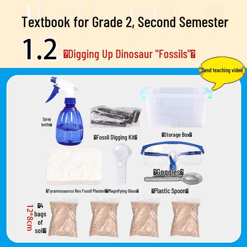 Dinosaur Fossil Excavation Science Experiment Kit for Second Grade Students