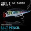 Daiwa Morethan Salt Pencil 95F Site Blue Pin Sardine 95mm Fishing Lure