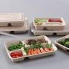 Disposable Sugarcane Pulp Compartment Food Containers