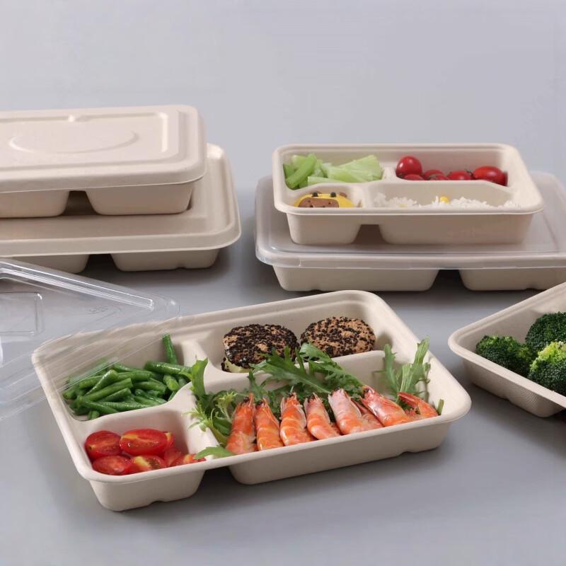 Disposable Sugarcane Pulp Compartment Food Containers