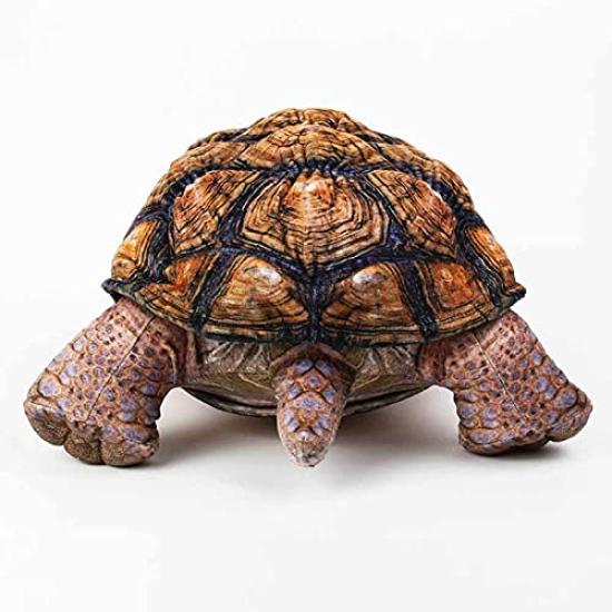 Taiyo Sangyo Boeki Wild Graphy Giant Tortoise Plush Toy SA041