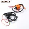 Scooter Standard & High Performance Ignition Coil for YAMAHA ZUMA 50 BWS 50 YW50S 50cc 2002-2011 4VP-H2310-01