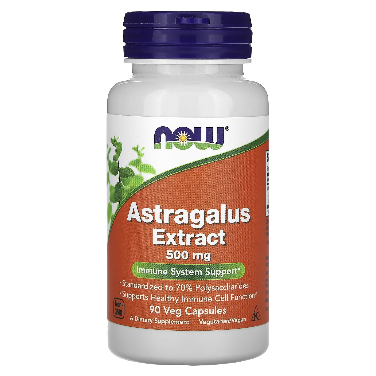

Astragalus Extract, 500Mg, 90 Veggie Capsules
