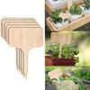 Bamboo Plant Labels, T-Type Wooden Plant Sign Tags Garden Markers for Seed Potted Herbs Flowers Vegetables Plant Tags