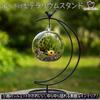 Moin Moin Hanging Stand, Iron, Moon Shape, Bird, Small Bird, Black Iron, Terrarium Hanger, Hanging Hook, Interior Decor  Height 35cm, Base Width 15cm
