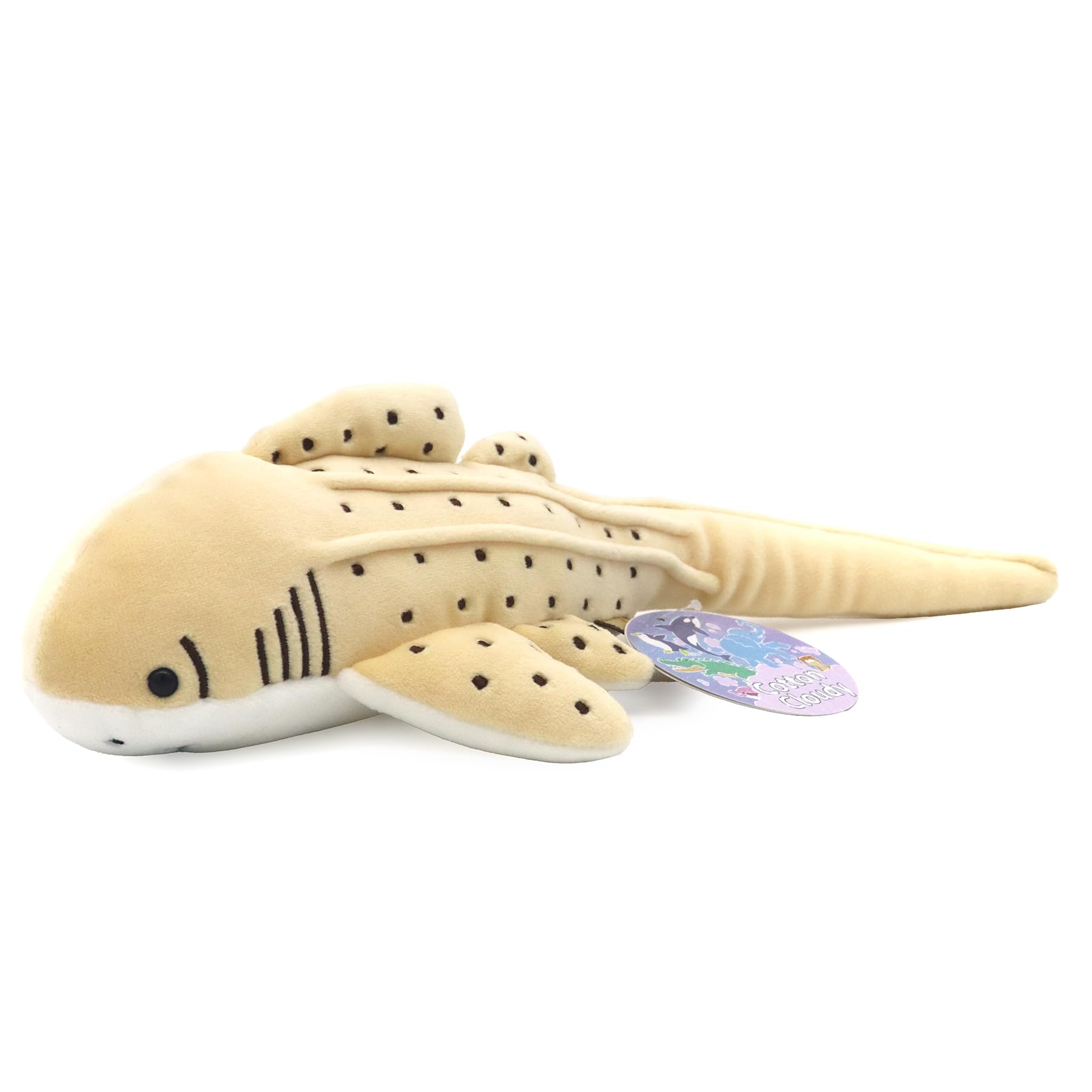 

Взлет Хлопок Облачно S Trochilidae