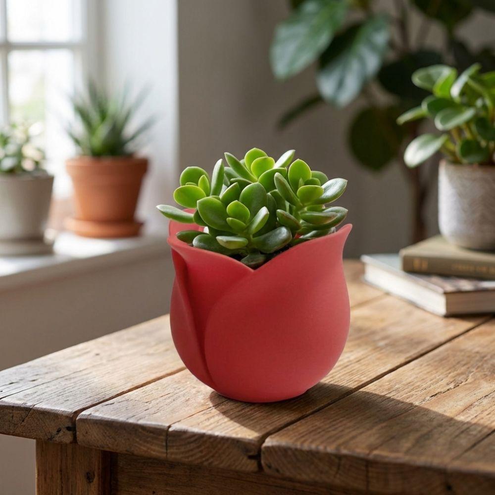 Cute Succulent Plant Basin Plastic 3D Printed Plant Pot Green Onion Pots  Garden Planting