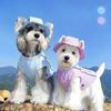 Gilet Rinfrescante Estivo per Cani con Cappellino in Rete Traspirante Maglietta Protettiva Solare per Cani&Gatti Set Leggero di Vestiti per Animali Domestici da Esterno