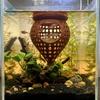 3D-gedruckte schwimmende Fischhängematte Zuchthaus Versteck Aquarium Ruheplattformen Kunststoff Hohlkammer Hängematte Futterring