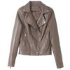 Sheepskin Leather Jacket Women's Short Spring and Autumn New High-end Fashion High-end Jacket