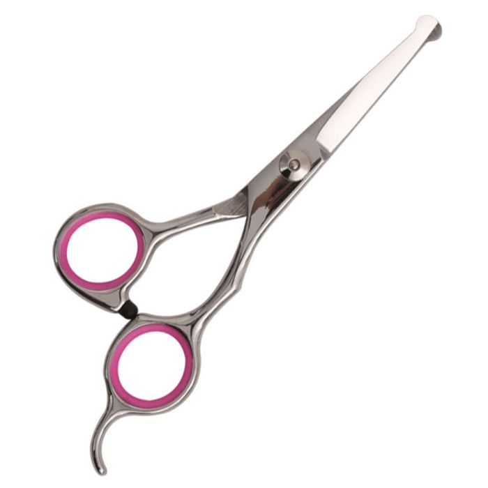 Ensemble de ciseaux de toilettage pour chien 5 pcs