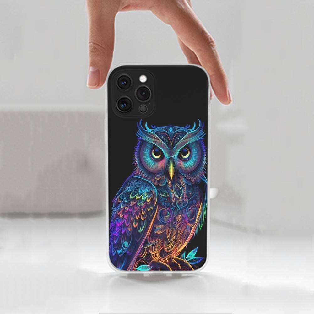 Cute C-Colorful Owl B-Bird Case For iPhone X,XS,SE,12,15,Pro,17,Plus,11,Max,13,XR,14,16,Mini,Transparent Soft Cover
