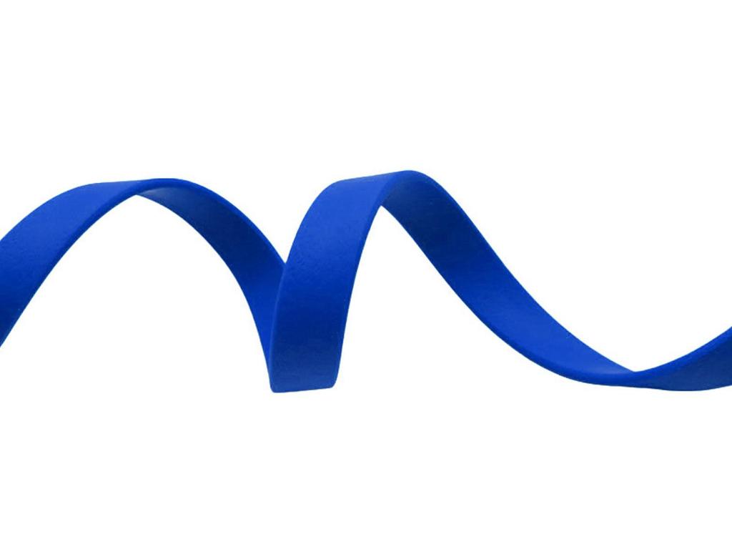 Waterproof & Stain-Resistant PVC Coated Nylon Dog Leash