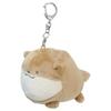 Anything Creature Mini Plush [Mascot] Toy/Otter