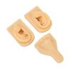 Silicone Nose Ear Model 3D Simulation Nose Ear Model Set for Piercing Practice Teaching