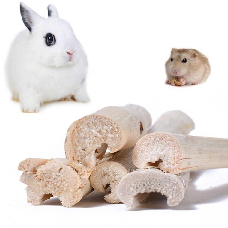 Buy 5Pcs Pet Chewing Bamboo Stick Hamsters Chinchillas Rabbit Snacks