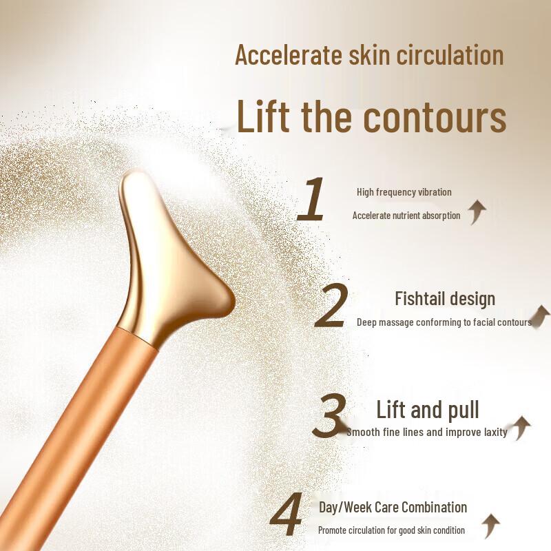 Morphy Richards MR2160 Facial Massager & Serum Infuser