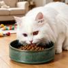 Large Capacity Ceramic Cat Bowl Anti-Spill Elevated Neck Protection Food Water Feeder