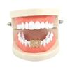 Unique Number 23 Shape Brass Two Tooth Grills Iced Zircon Gold Plated Body Jewelry for Engagement or Anniversary