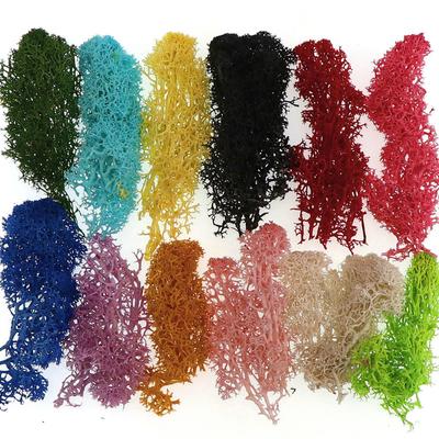 Artificial Plant Eternal Life Moss Fake Flower Moss Grass Home Living Room Decorative Wall DIY Plant Accessories