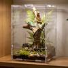Amphibian Breeding Box Convenient Terrarium with Front Opening Door For Easy Maintenances Jumping Spiders Encloure