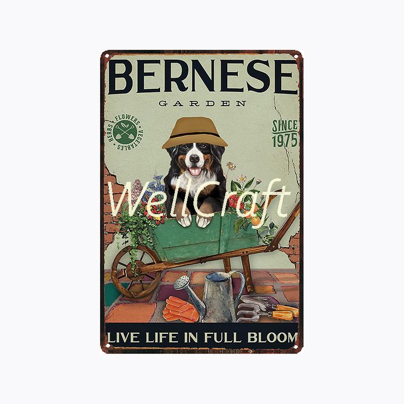 [ WellCraft ] 20*30cm You Are My Sunshine Cat Metal Poster Tin sign Vintage Wall Plaque Decor WX-62-1