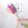 9-Head Phalaenopsis Orchid for Home, Project Landscaping, or Wedding Decoration