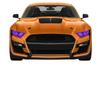 Ford Chevrolet GT500 TPU Light-Controlled Color-Changing Protective Film: White To Purple/Black.