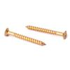 Guitar Reinforcement Board Screw Reinforcement Board Screw Neck Plate Screw Guitar Screw 5 * 45mm Screw