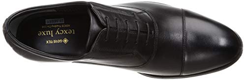 Texcy Luxe Men's Leather Gore-Tex Business Shoes, TU-8005, Black, Size 24.5 cm, 4E Wide
