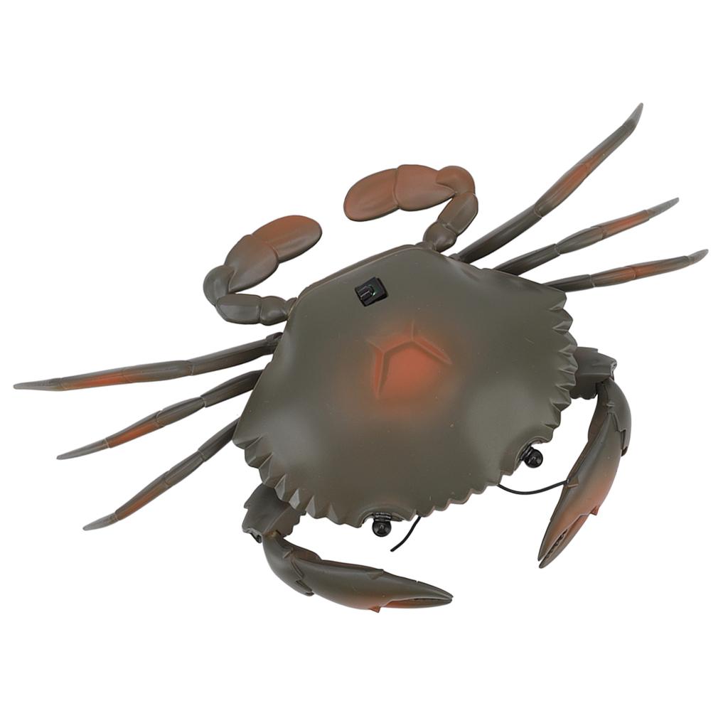 RC Crab Toy Educational Simulated Sea Life Animals Electric Crab Animal Model for Kids Birthday
